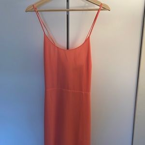 Naked Zebra Summer Dress